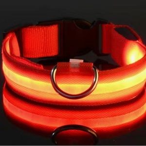 Glowing Dog Collars Bundle